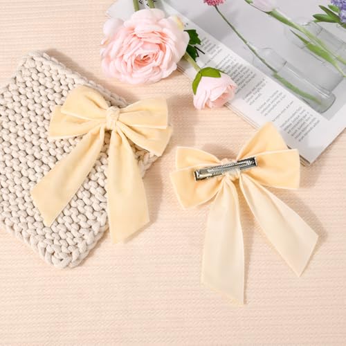 2PCS Velvet Hair Bow Clips for Women Girls Fall Kids Teens