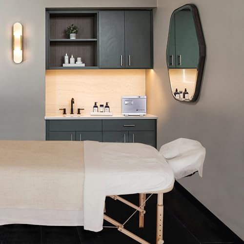 EarthLite Hot Towel Warmer Cabinet Dual 1