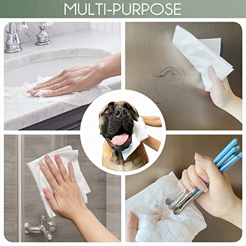 WOWOTEX Biodegradable Face Towels 1012 120 Count2 Box