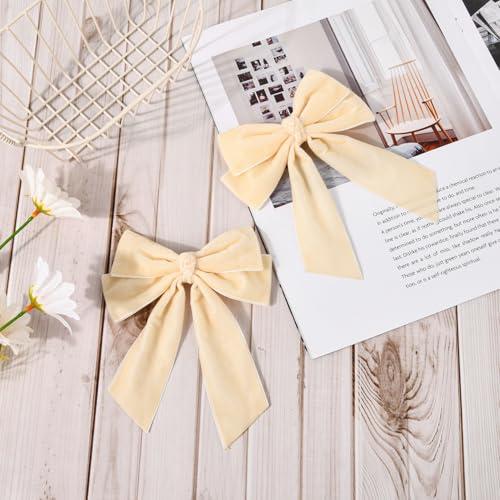 2PCS Velvet Hair Bow Clips for Women Girls Fall Kids Teens