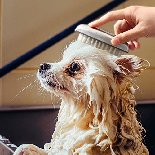 2 Pieces Stainless Steel Nail Brush for Cleaning and Scrubbing