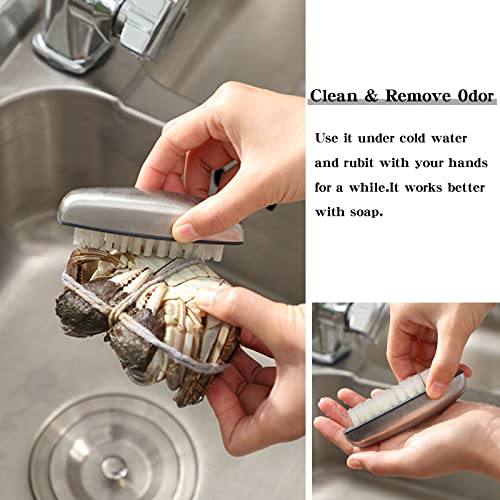 2 Pieces Stainless Steel Nail Brush for Cleaning and Scrubbing