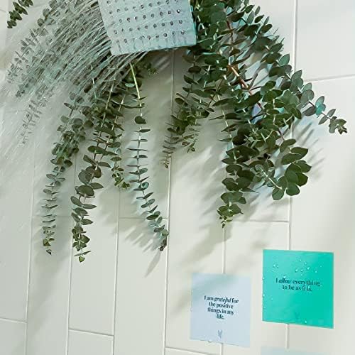 Affirmation Cards for Shower Waterproof Self Care Positive