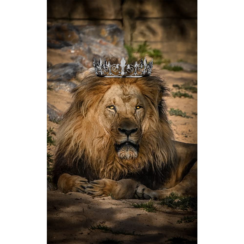 AOPRIE Crystal Tiara Crown for Wedding Prom Costume