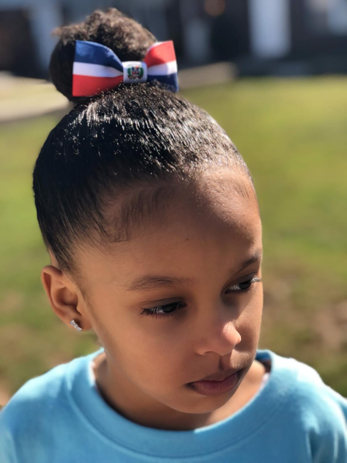 Dominican Republic Flag Hair Bows with Clips for Girls and Toddlers