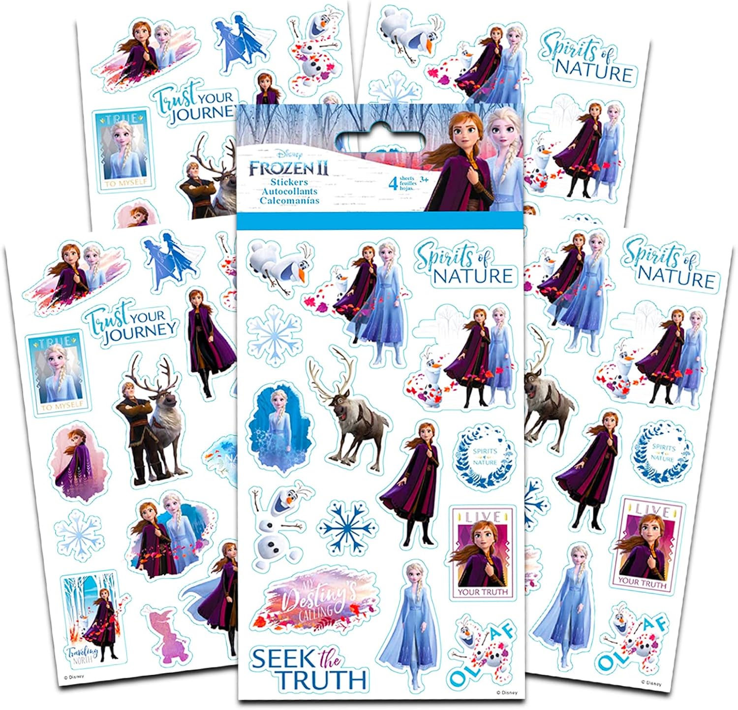 Disney Frozen Bath Accessories Set with Shampoo Body Wash Tote Stickers
